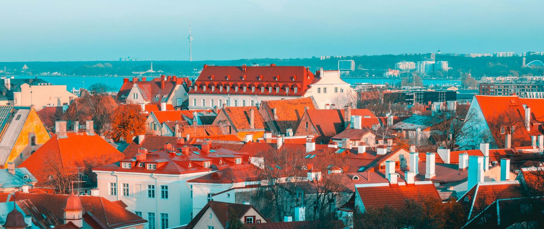 Living in Estonia as an Expat